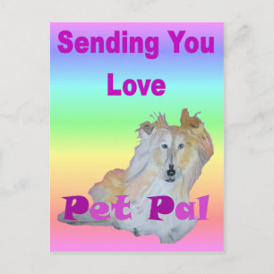 Pet Pal Postcard