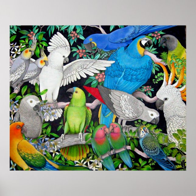 Pet Parrots of the World Poster (Front)