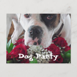 Pet Party Invitations Cute Boxer w/ Roses Bouquet