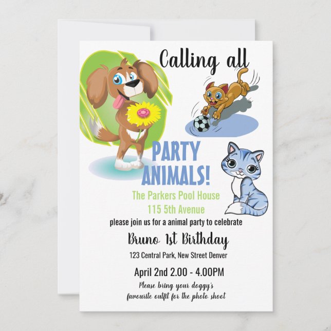 Pet party invite (Front)
