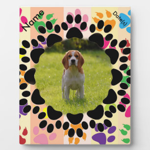 Pet Paw Frame on Paws