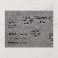 Pet Paws in Cement – Always There