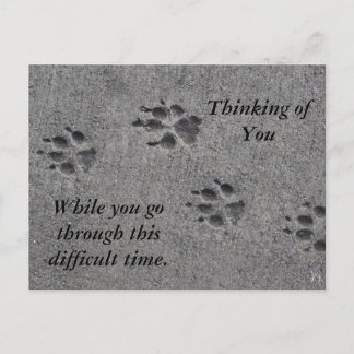 Pet Paws in Cement – Always There Postcard