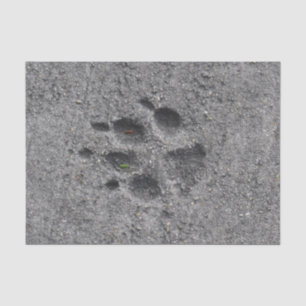 Pet Paws in Cement – Always There Tissue Paper