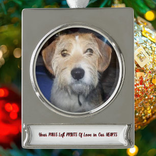 Pet Paws Photo Memorial Personalise Silver Plated Banner Ornament