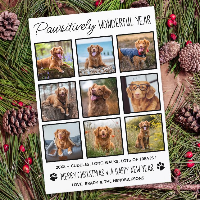 Pet Pawsitively Wonderful Pet Dog Photo Collage Holiday Card (Creator Uploaded)