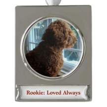 Pet/Person (Personalise)