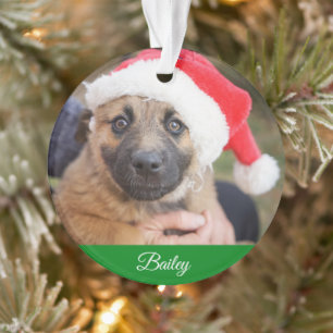 Pet Personalised Classic Pine Tree Christmas Ornament