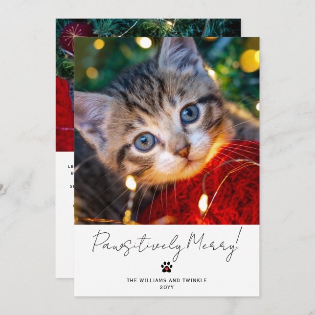 Pet Photo 2 Picture Script Calligraphy Paw Print Holiday Card (Front/Back)