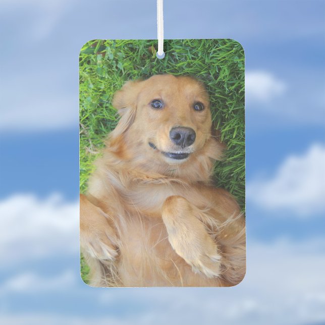 Pet Photo Air Freshener (Creator Uploaded)