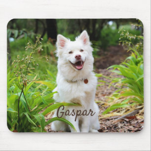Pet Photo And Name Personalised Mouse Mat
