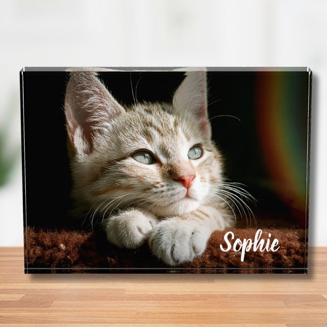 Pet Photo Block (Pet Photo Block)