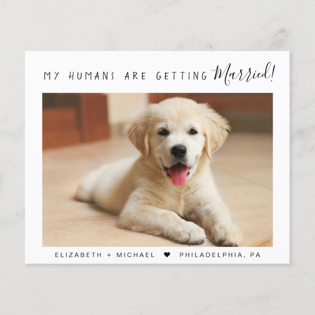 Pet Photo Budget Engagement Announcement (Front)