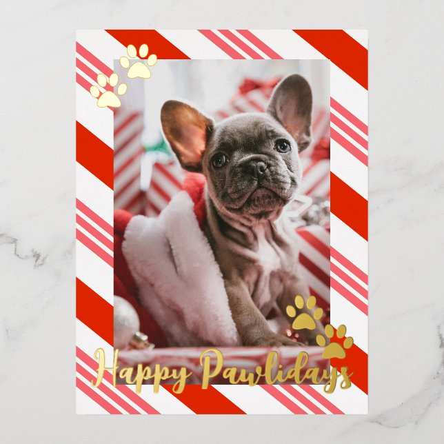 Pet Photo Candy Cane Striped Happy Pawlidays Gold Foil Holiday Postcard (Front)