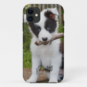 Pet Photo  iPhone 11 Case