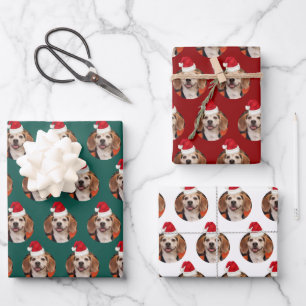 Pet Photo Christmas Colours Santa Hats on Head Wrapping Paper Sheet
