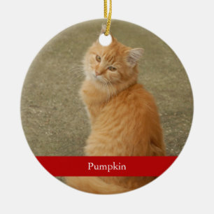 Pet Photo Christmas Holiday Ornament