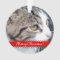 Pet photo Christmas ornament | Upload your images