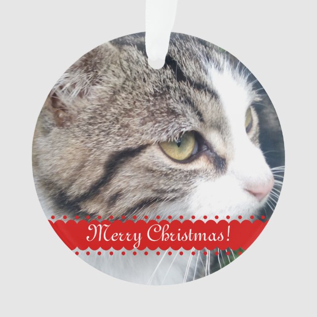 Pet photo Christmas ornament | Upload your images (Front)