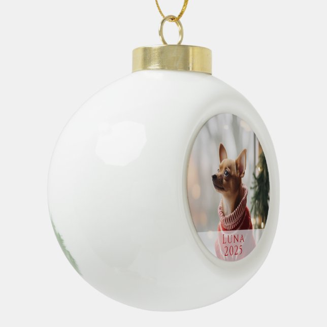 Pet Photo Christmas Ornament with Name & Year (Left)
