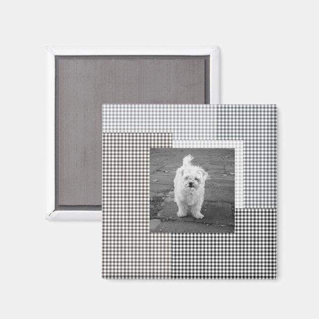 Pet PHOTO Classic Gingham Patterns neutral chic Magnet (Front/Back)