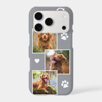 Pet Photo Collage Monogram Name Grey Cat Dog