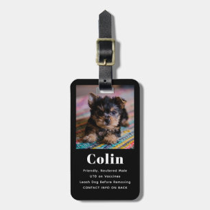 Pet Photo Contact Info Crate Tag