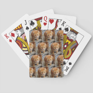 Pet Photo Customise Personalise Cat Dog Playing Cards
