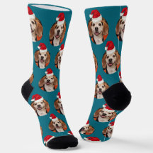 Pet Photo Dark Teal Santa Hats Christmas