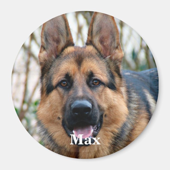 Pet Photo - Dog - Cat - Pet Memorial Magnet (Front)