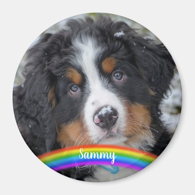 Pet Photo - Dog - Cat - Pet Memorial Magnet (Front)