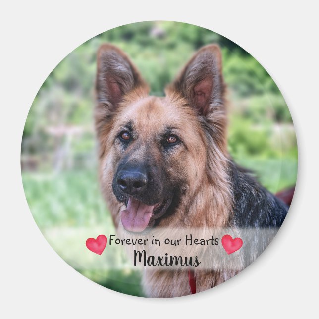 Pet Photo - Dog - Cat - Pet Memorial Magnet (Front)