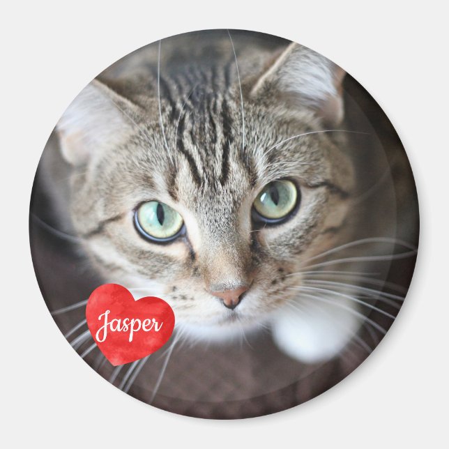 Pet Photo - Dog - Cat - Pet Memorial Magnet (Front)