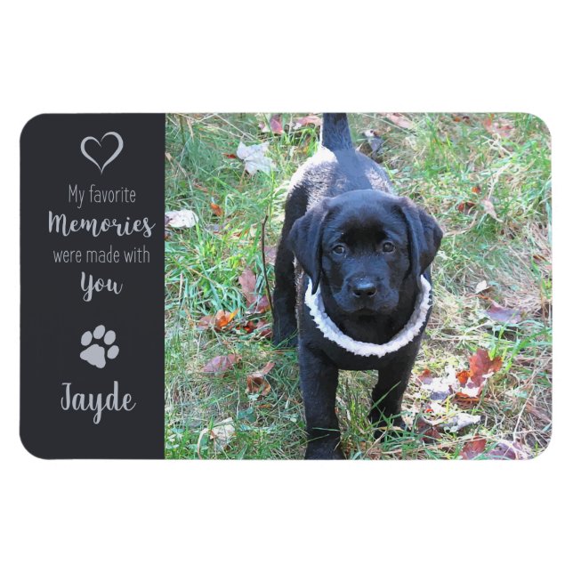 Pet Photo - Dog Photo - Cat Photo - Pet Memorial Magnet (Horizontal)