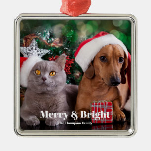 Pet Photo Family Name Merry and Bright Metal Tree Decoration