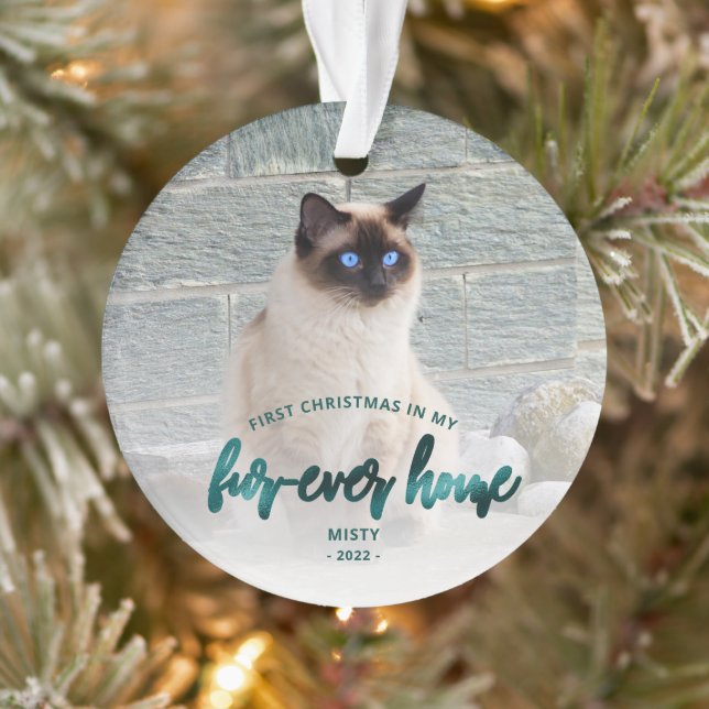 Pet Photo First Christmas Forever Home Teal Green Ornament (Tree)