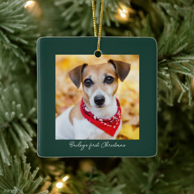 Pet Photo First Christmas Name Ceramic Ornament (Tree)