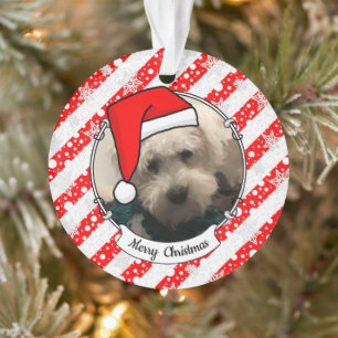 Pet Photo First Christmas Santa Hat HO HO HO Cute Ornament