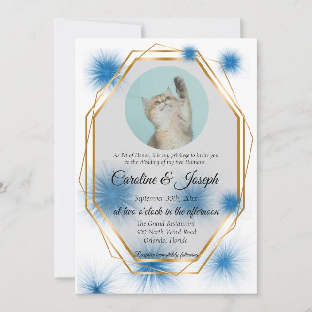 Pet Photo for Wedding with Blue Tuft of Fur Invita Invitation (Front)