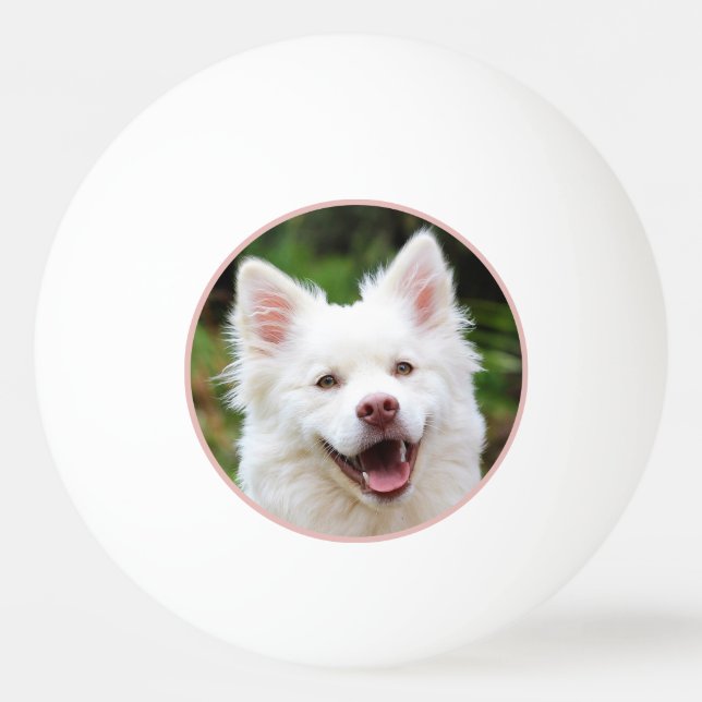Pet Photo Framed Personalised Ping Pong Ball (Front)