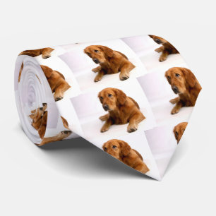 Pet Photo Golden Retriever Ties