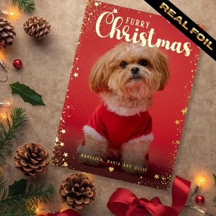 Pet Photo Golden Star Frame  Foil Holiday Card