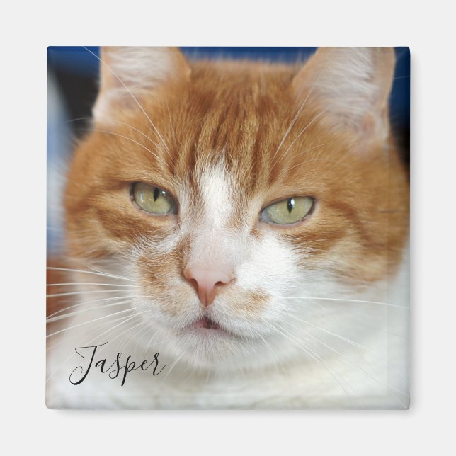 Pet Photo Handwritten Script  Magnet (Front)