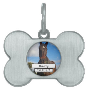 Pet Photo ID Tag