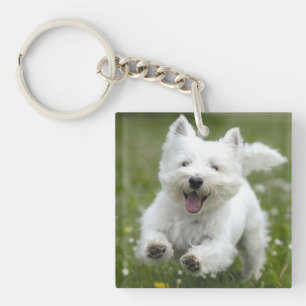 Pet Photo Keychain Gift Dog or Puppy Mum