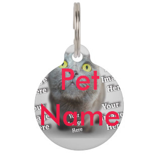  PET Photo ✨ Lovely Custom  Tag