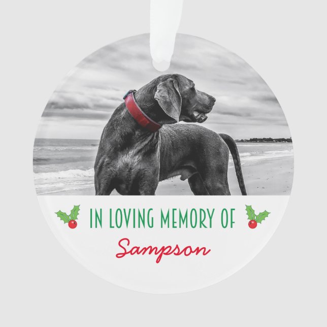 Pet Photo Memorial Christmas Holly Ornament (Front)