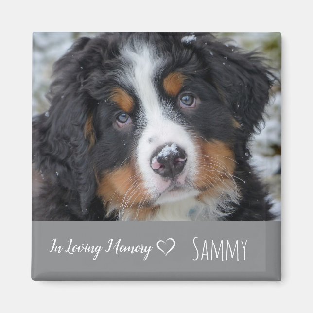 Pet Photo Memorial - Dog Lover Keepsake - Pet Loss Magnet (Front)
