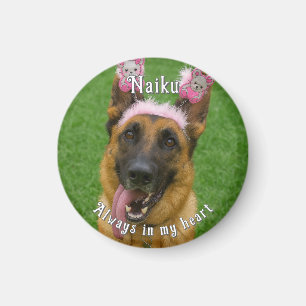 Pet Photo Memorial Magnet