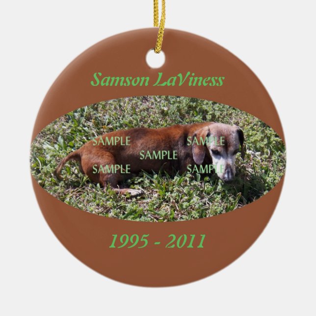 Pet Photo Memorial Ornament (Front)